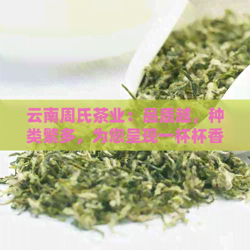 云南周氏茶业：品质越，种类繁多，为您呈现一杯杯香醇的茶韵