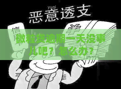 微粒贷逾期一天没事儿吧？怎么办？