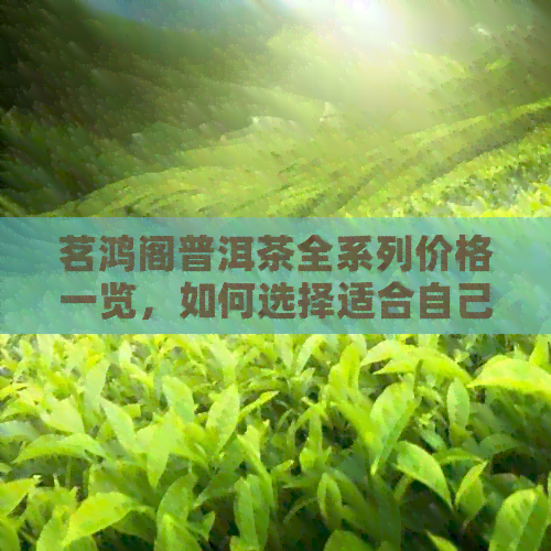 茗鸿阁普洱茶全系列价格一览，如何选择适合自己的普洱茶？