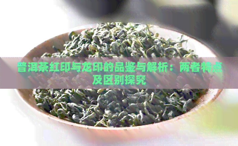 普洱茶红印与龙印的品鉴与解析：两者特点及区别探究