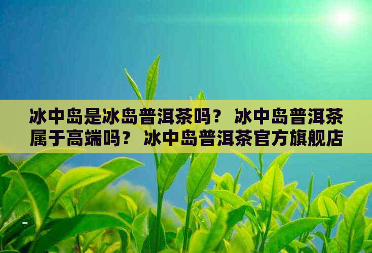 冰中岛是冰岛普洱茶吗？ 冰中岛普洱茶属于高端吗？ 冰中岛普洱茶官方旗舰店