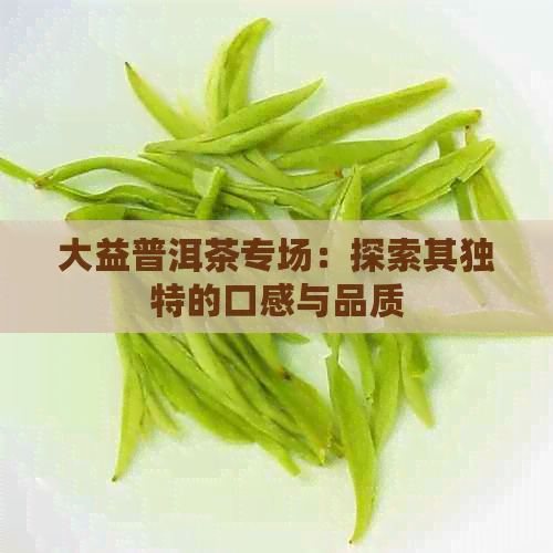 大益普洱茶专场：探索其独特的口感与品质