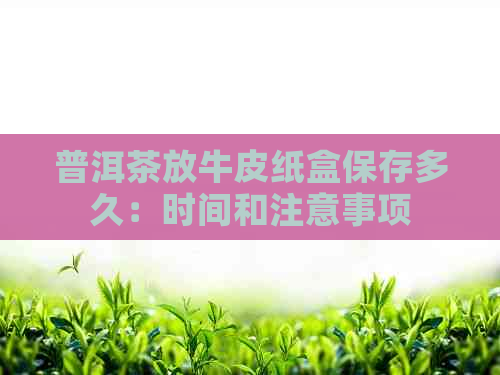 普洱茶放牛皮纸盒保存多久：时间和注意事项