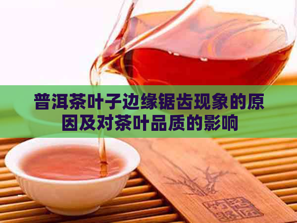 普洱茶叶子边缘锯齿现象的原因及对茶叶品质的影响