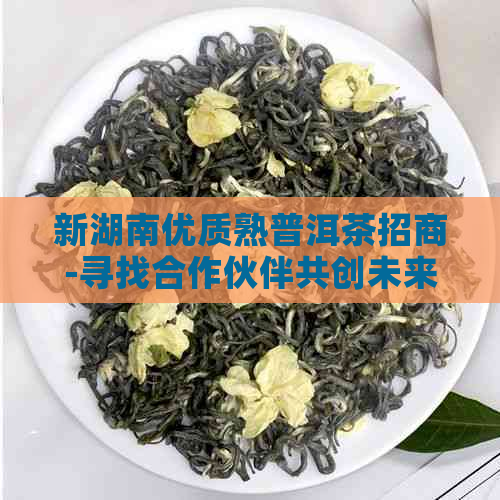 新湖南优质熟普洱茶招商-寻找合作伙伴共创未来