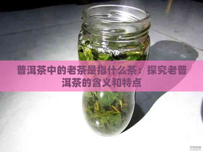 普洱茶中的老茶是指什么茶：探究老普洱茶的含义和特点