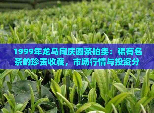 1999年龙马同庆圆茶拍卖：稀有名茶的珍贵收藏，市场行情与投资分析