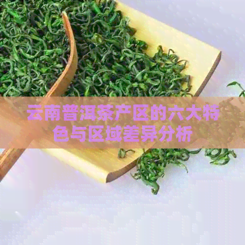 云南普洱茶产区的六大特色与区域差异分析