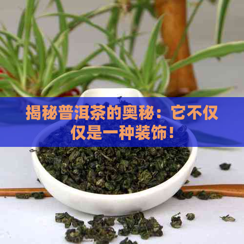 揭秘普洱茶的奥秘：它不仅仅是一种装饰！