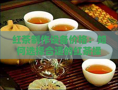 红茶制作设备价格：如何选择合适的红茶揉捻机？