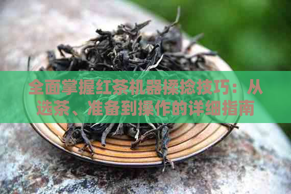 全面掌握红茶机器揉捻技巧：从选茶、准备到操作的详细指南