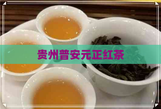 贵州普安元正红茶