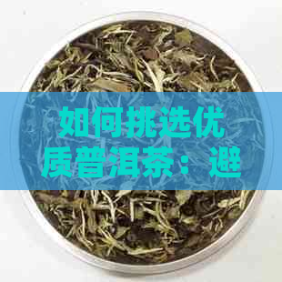 如何挑选优质普洱茶：避免毛病茶的全方位指南