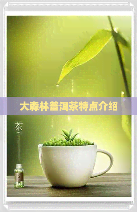 大森林普洱茶特点介绍