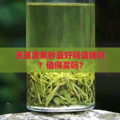 天星泥紫砂壶好吗值钱吗？值得买吗？