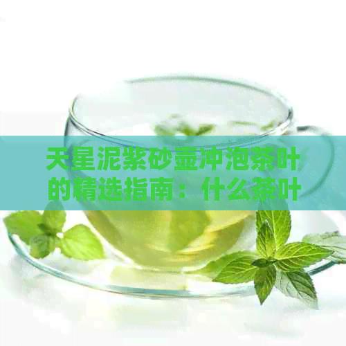 天星泥紫砂壶冲泡茶叶的精选指南：什么茶叶适合用天星泥紫砂壶泡？