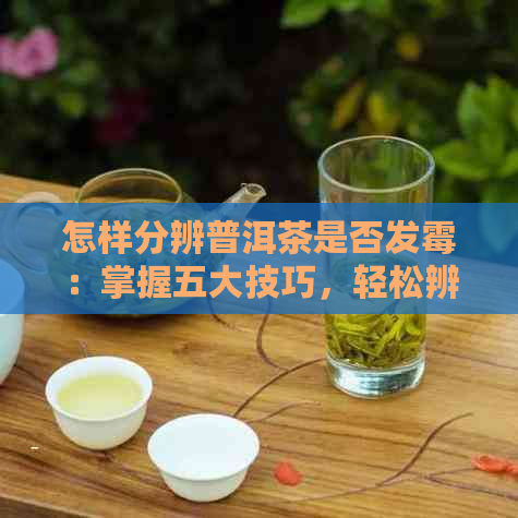 怎样分辨普洱茶是否发霉：掌握五大技巧，轻松辨别真伪