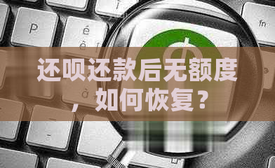 还呗还款后无额度，如何恢复？