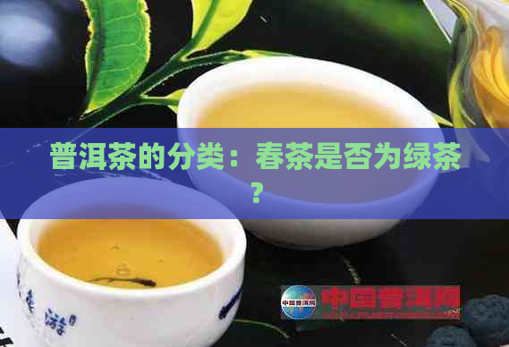 普洱茶的分类：春茶是否为绿茶？