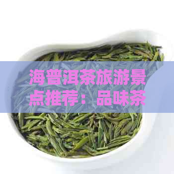 海普洱茶旅游景点推荐：品味茶香，感受古韵