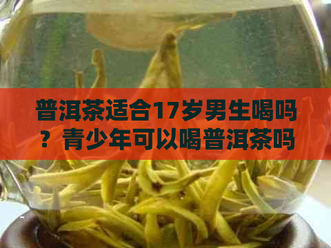 普洱茶适合17岁男生喝吗？青少年可以喝普洱茶吗？