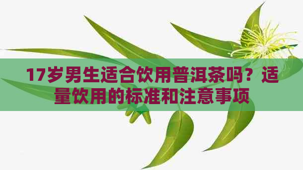 17岁男生适合饮用普洱茶吗？适量饮用的标准和注意事项