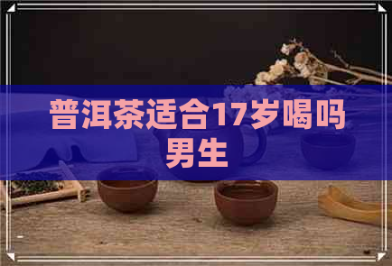 普洱茶适合17岁喝吗男生