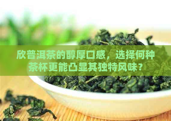 欣普洱茶的醇厚口感，选择何种茶杯更能凸显其独特风味？