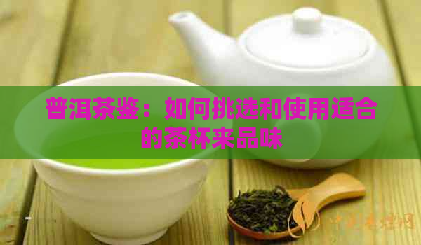 普洱茶鉴：如何挑选和使用适合的茶杯来品味