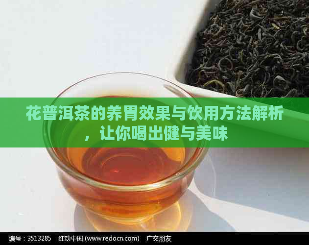 花普洱茶的养胃效果与饮用方法解析，让你喝出健与美味