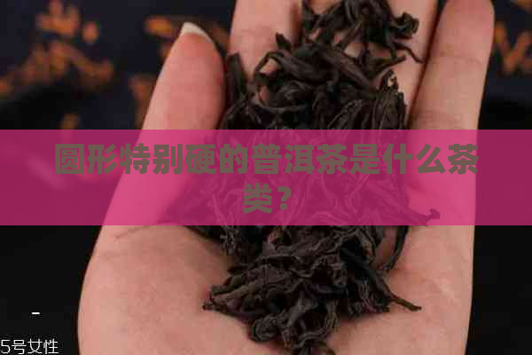 圆形特别硬的普洱茶是什么茶类？