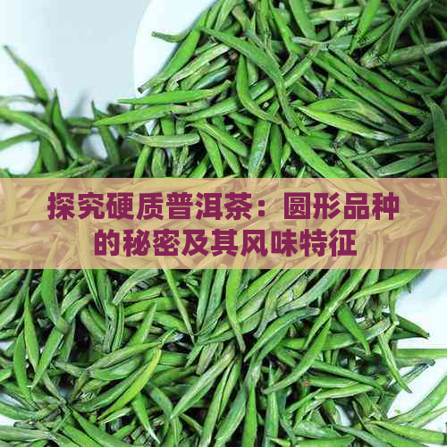 探究硬质普洱茶：圆形品种的秘密及其风味特征