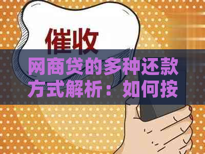 网商贷的多种还款方式解析：如何按时还款避免逾期