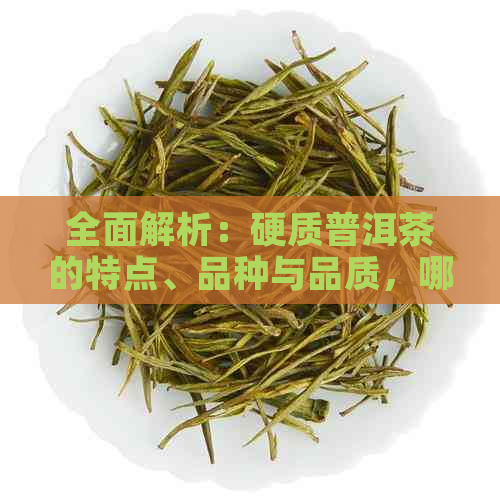 全面解析：硬质普洱茶的特点、品种与品质，哪种茶叶是圆形特别硬的？