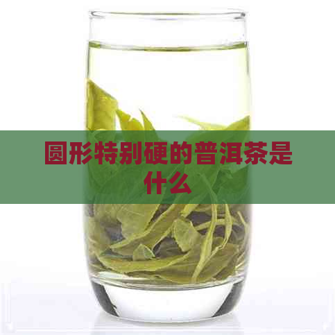 圆形特别硬的普洱茶是什么