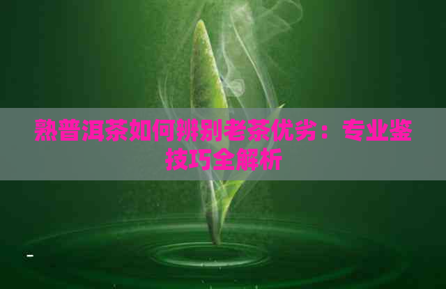 熟普洱茶如何辨别老茶优劣：专业鉴技巧全解析