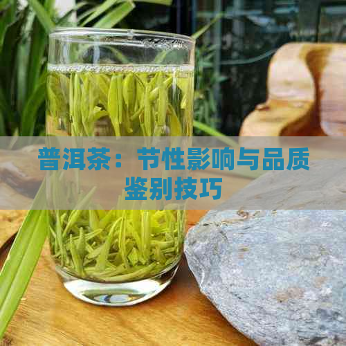 普洱茶：节性影响与品质鉴别技巧