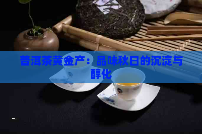 普洱茶黄金产：品味秋日的沉淀与醇化