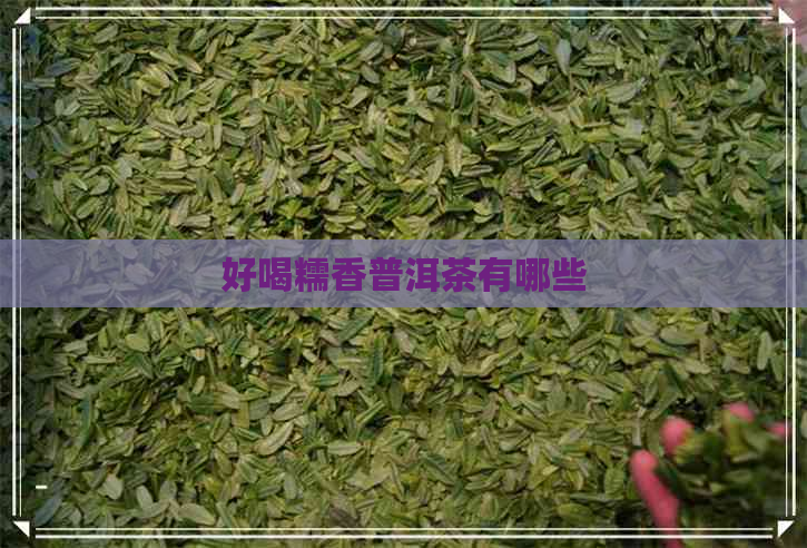 好喝糯香普洱茶有哪些