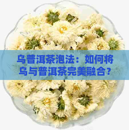 乌普洱茶泡法：如何将乌与普洱茶完美融合？