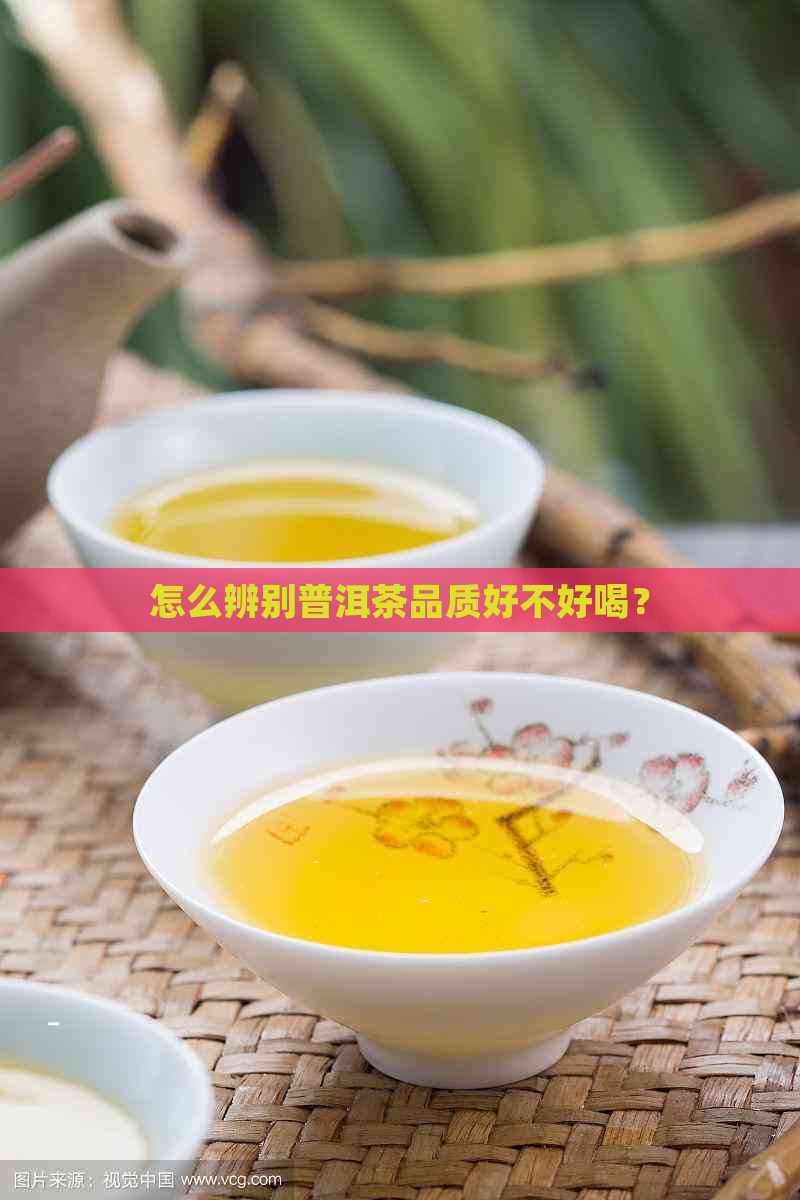 怎么辨别普洱茶品质好不好喝？