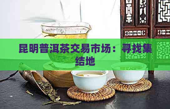 昆明普洱茶交易市场：寻找集结地