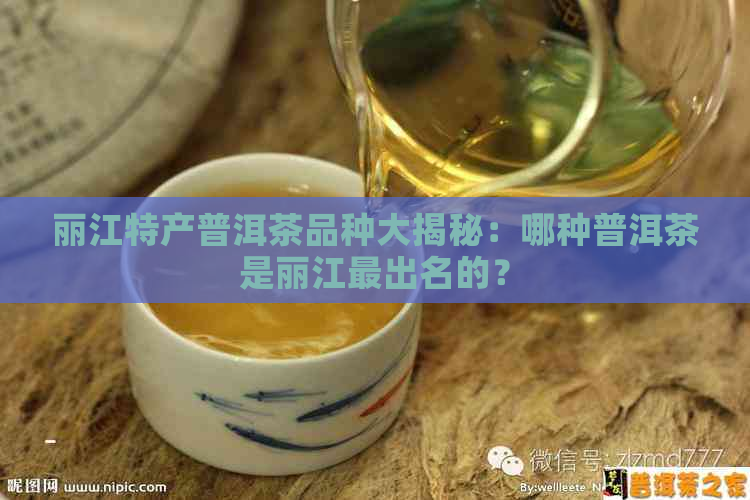 丽江特产普洱茶品种大揭秘：哪种普洱茶是丽江最出名的？