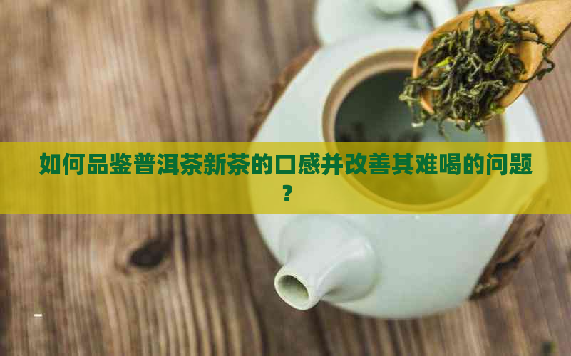 如何品鉴普洱茶新茶的口感并改善其难喝的问题？