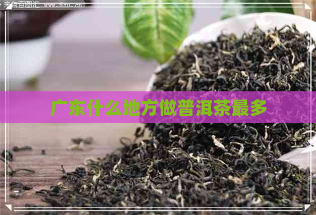 广东什么地方做普洱茶最多