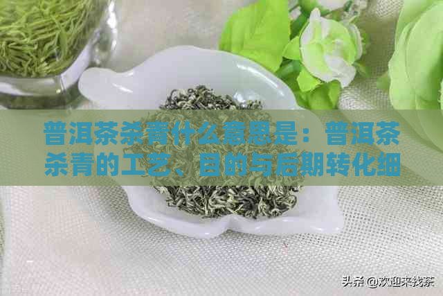 普洱茶杀青什么意思是：普洱茶杀青的工艺、目的与后期转化细节问题