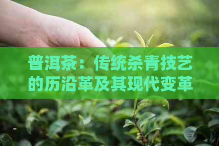 普洱茶：传统杀青技艺的历沿革及其现代变革