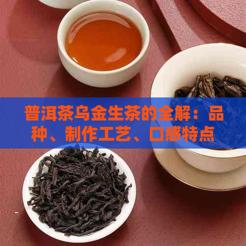 普洱茶乌金生茶的全解：品种、制作工艺、口感特点及功效详解