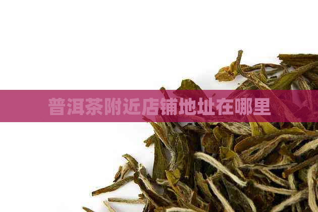 普洱茶附近店铺地址在哪里