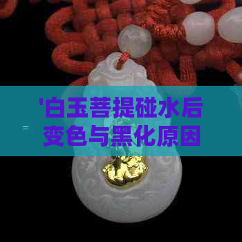 '白玉菩提碰水后变色与黑化原因解析：为什么白玉菩提能用水清理干净？'